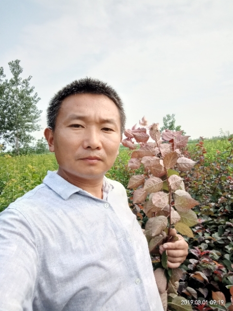 孩子爸的第二张照片--江苏上门女婿服务网